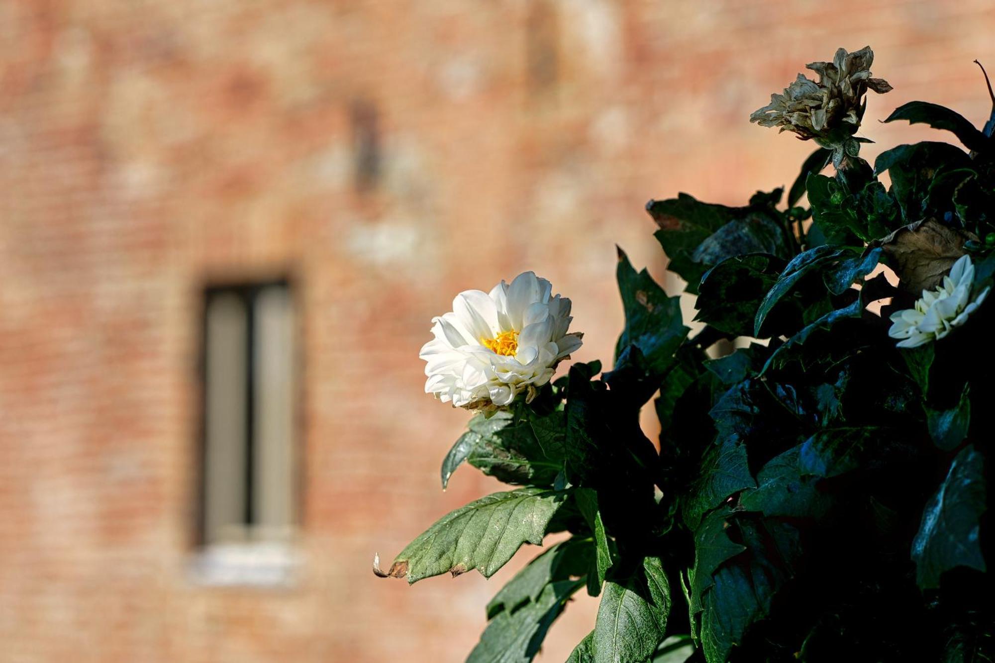 Bed and Breakfast Viavai Casalborgone Zewnętrze zdjęcie